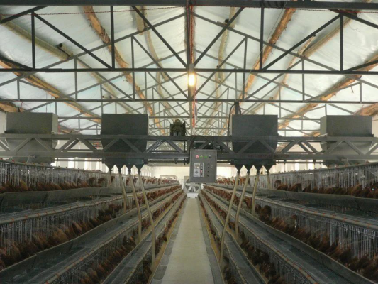 供应 龙门式喂料机 四层特型蛋鸡笼、河南银星畜牧设备厂、蛋鸡笼、育雏笼、太康鸡笼厂图片